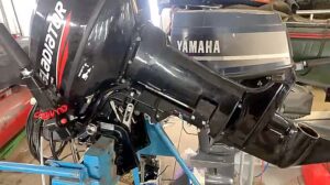 IMG-20250228-WA0080